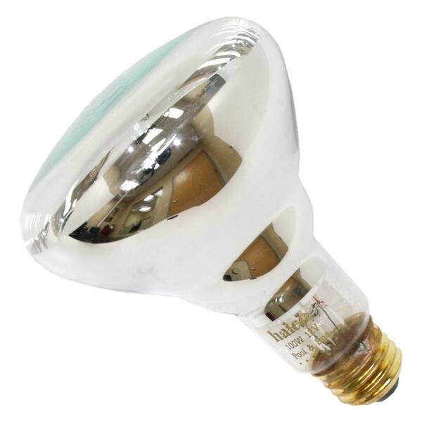 HALCO LIGHTING TECHNOLOGIES Halco 100-Watt BR30 Flood Specialty Pool Spa Replacement Light Bulb (1-Bulb) 104026
