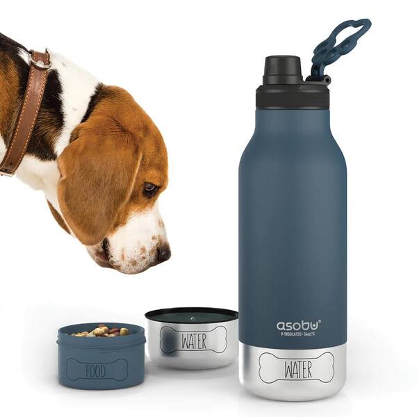 ASOBU Buddy 32 oz. Blue Stainless Steel Water Bottle SDB2B The Home Depot