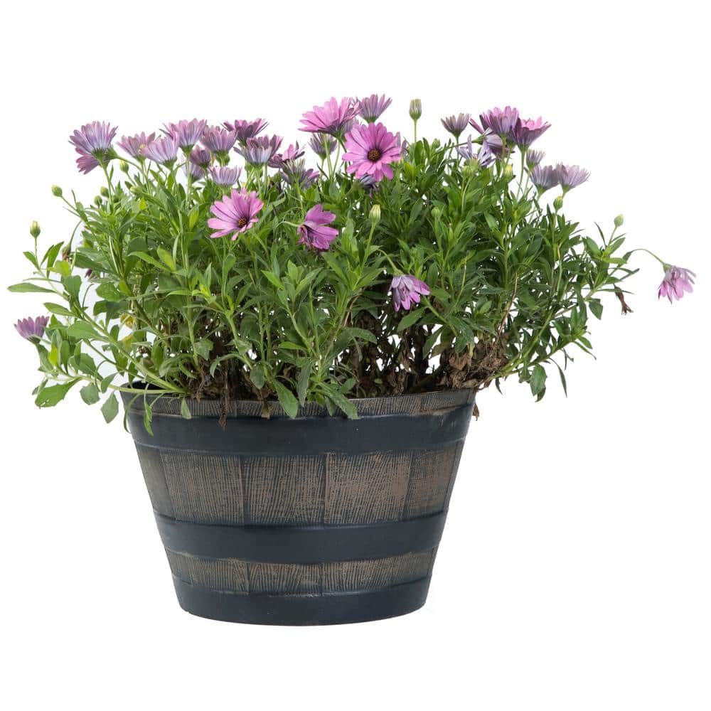 Gardenised Rustic Wood- Look Plastic Half Barrel Flower Pot Bucket Planter, Pack of 4