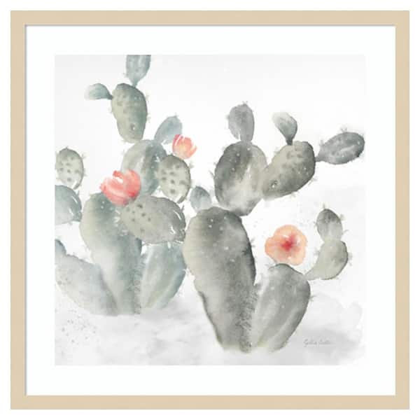 Amanti Art Cactus Garden Gray Blush III by Cynthia Coulter 25 in. W x 25 in. H. Wood Framed Wall Art Print Framed in Brown