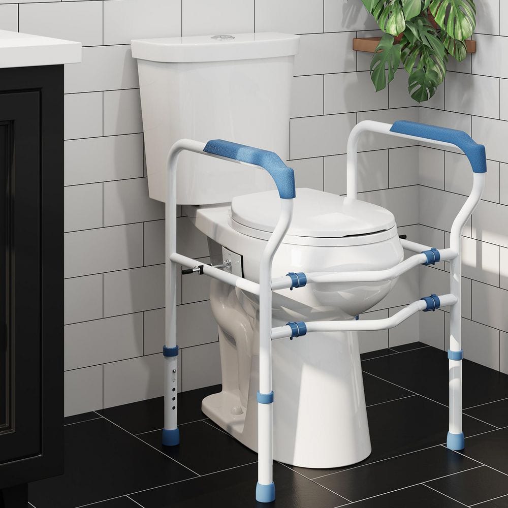 21 in. Extra Tall 2-Piece 1.1/1.6 GPF Dual Flush Round Toilet in White Seat Included with Toilet Safety Rail price history on PriceWatchPro