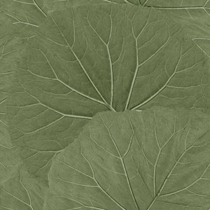 Xylem Green Olive Large Leaves Paper Non-Pasted Non-Woven Matte Wallpaper