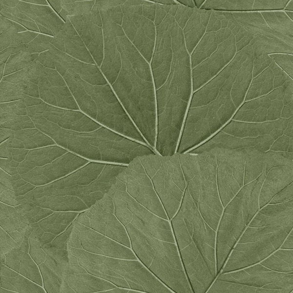 ESTA Home Xylem Green Olive Large Leaves Non-Pasted Matte Wallpaper Sample