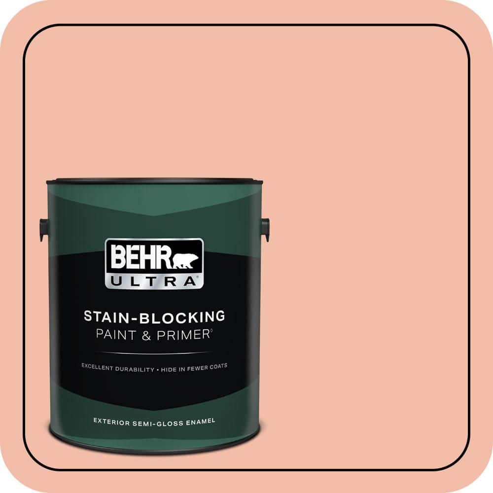 1 gal. Home Decorators Collection #HDC-CT-14A Sunkissed Apricot Semi-Gloss Enamel Exterior Paint & Primer price history on PriceWatchPro