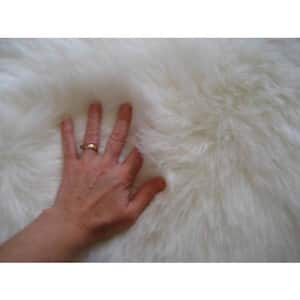 White 5 ft. x 7 ft. Made in France Faux Fur Luxuriously Soft and Eco Friendly Bear Pelt Area Rug