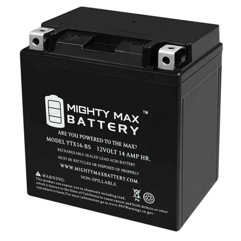 Interstate Batteries YTX16-BS 12V 14Ah Powersports Battery 230CCA AGM  Rechargeable Replacement for ATVs, Motorcycles, Scooters (XTX16-BS)