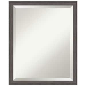 Florence Pewter 17.75 in. x 21.75 in. Beveled Casual Rectangle Framed Wall Mirror in Silver