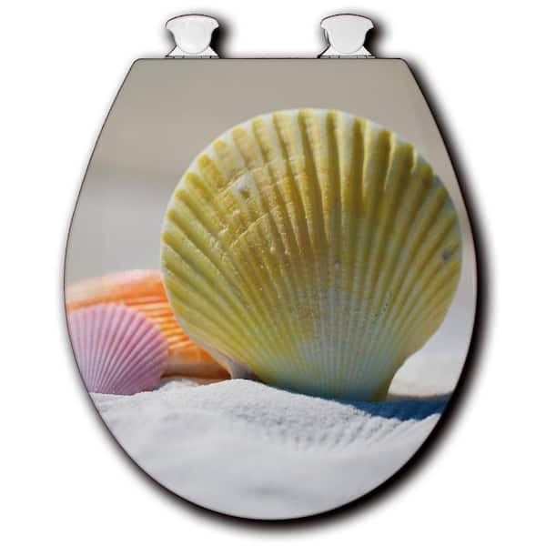 Unbranded Shellicious Round Closed Front Toilet Seat in White