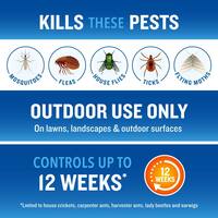 32 fl. oz. Concentrate Backyard Bug Control Spray