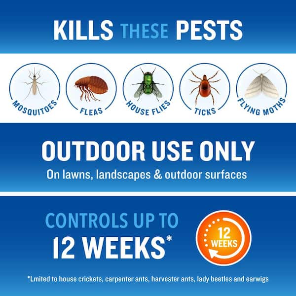 32 oz. Backyard Bug Control Spray Concentrate (Insect Killer) (4-Pack)