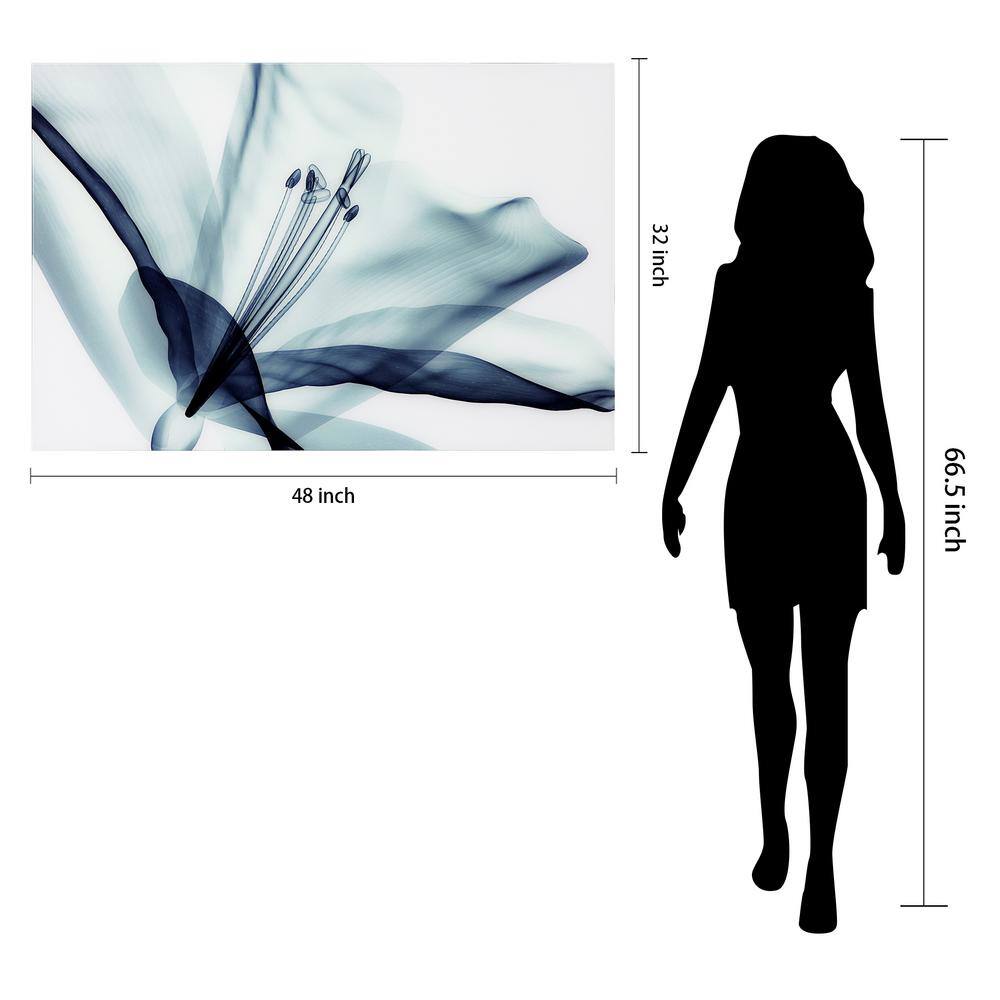 Amaryllis Blue Flower Frameless Tempered Glass Wall Art, 32" x 48"