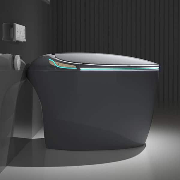 Unbranded Oblong Smart Toilet Bidet in Gray with Advanced Features