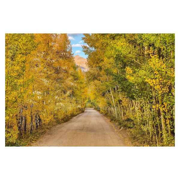 1 Piece Unframed Travel Art Print 40 in. x 60 in.