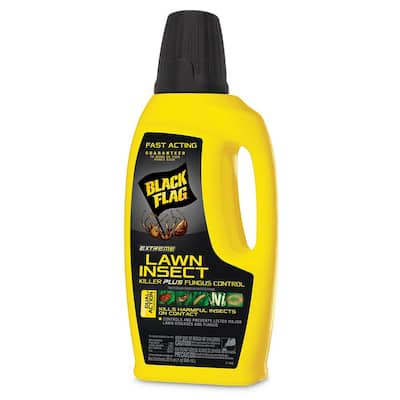 Extreme 32 oz. Concentrate Lawn Insect Killer Plus Fungus Control