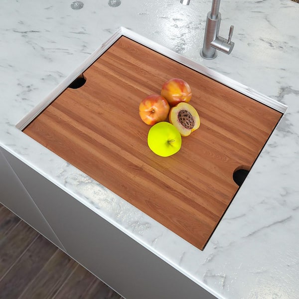 19 in. D x 23 in. W 20 Gal. Undermount Laundry/Utility Sink in Brushed Nickel with Workstation