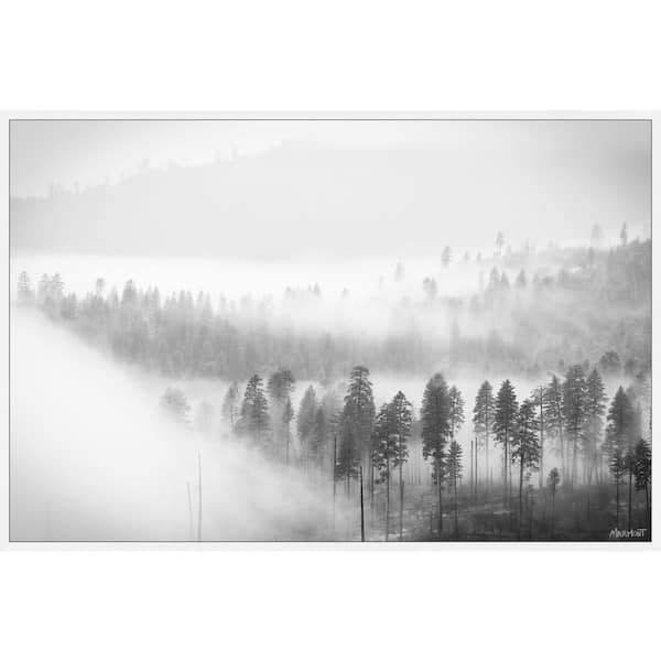 Unbranded "Foggy Scenery" by Marmont Hill Floater Framed Canvas Nature Art Print 40 in. x 60 in.
