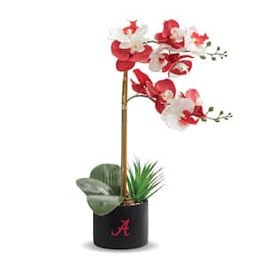 20 in. Alabama University Artificial Orchid Plant - Alabama Crimson Tide Gift