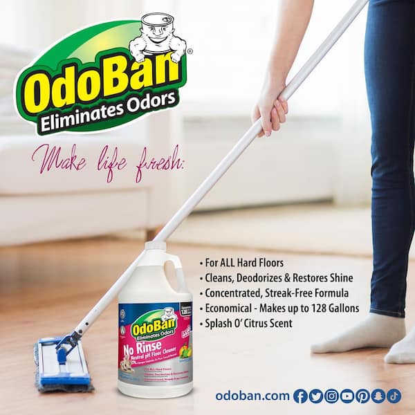 OdoBan 1 Gal. No Rinse Neutral pH Floor Cleaner, Concentrated Hardwood and  Laminate Floor Cleaner, Streak Free (4-Pack) 9361B61-G4 - The Home Depot