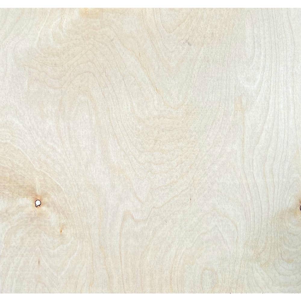 1/4 in. x 4 ft. W x 8 ft. L Birch Plywood Project Panel/Underlayment, Actur