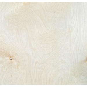 1/4 in. x 4 ft. W x 8 ft. L Birch Plywood Project Panel/Underlayment, Actural T 5.5mm (1600 sq. ft./Pallet)