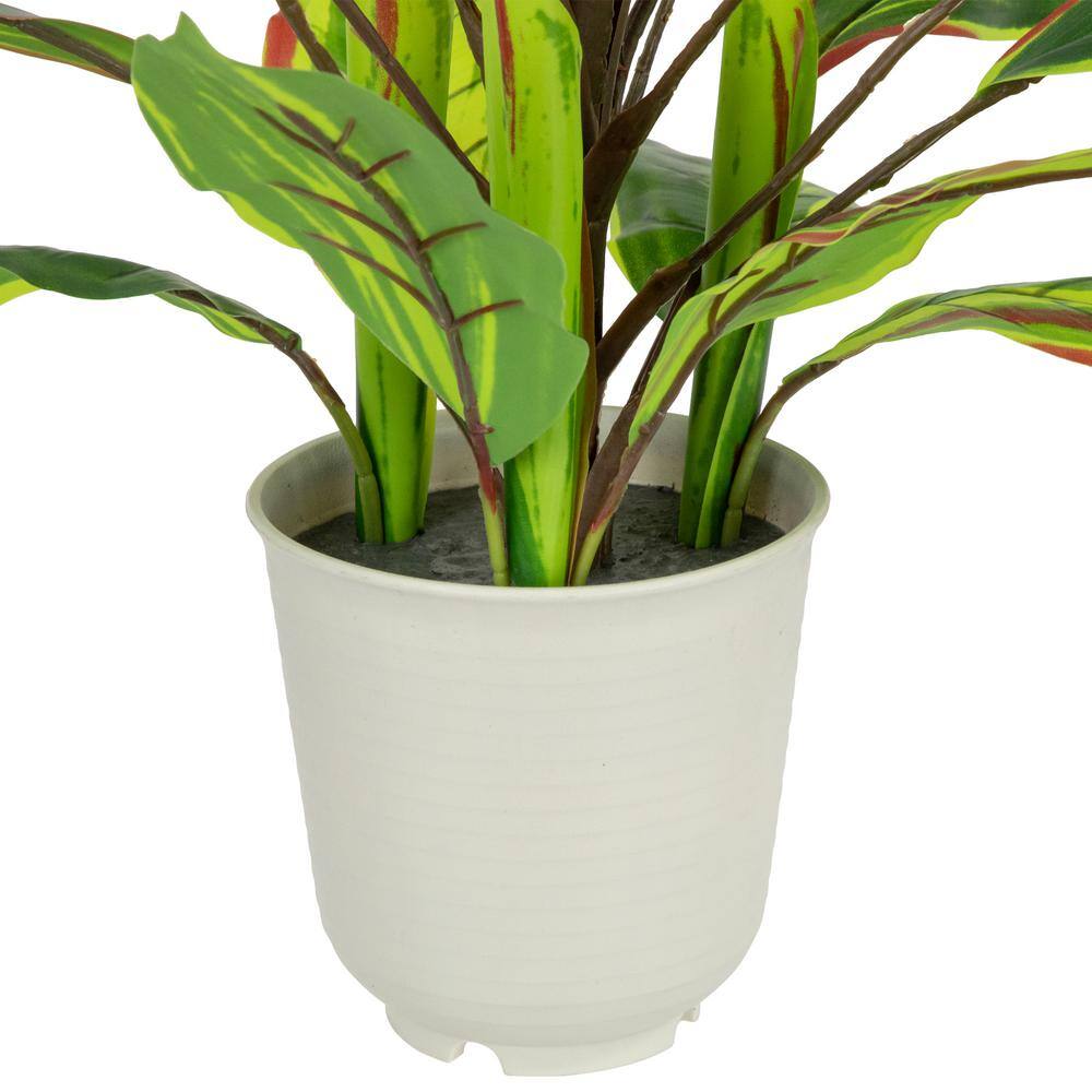 25" Green and Red Artificial Dracaena Plant in Off-White Plastic Pot