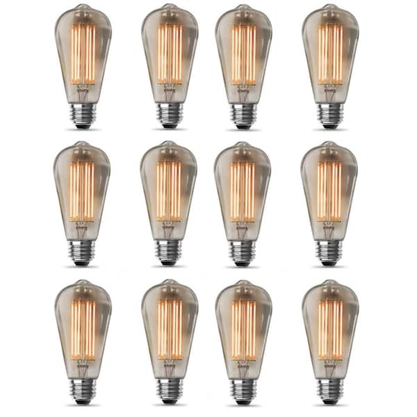 Feit Electric 60-Watt Equivalent ST19 Dimmable Cage Filament Clear Glass E26 Vintage Edison LED Light Bulb, Warm White (12-Pack)