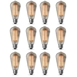 60-Watt Equivalent ST19 Dimmable Cage Filament Clear Glass E26 Vintage Edison LED Light Bulb, Warm White (12-Pack)