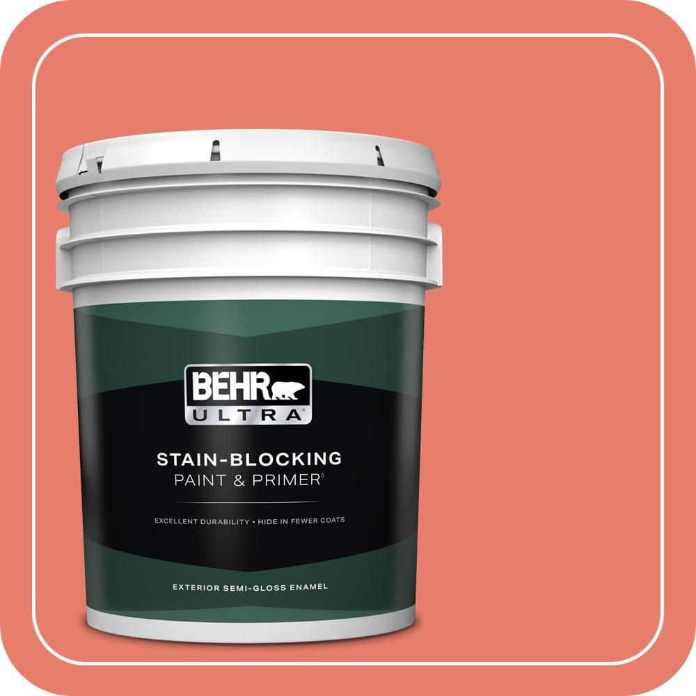 5 gal. Home Decorators Collection #HDC-SM14-12 Cosmic Coral Semi-Gloss Enamel Exterior Paint & Primer product image for price tracking