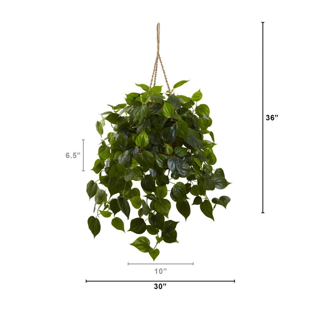 Outdoor UV Resistant Philodendron Hanging Basket