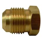 Everbilt 1/4 in. MIP Brass Plug Fitting 802379