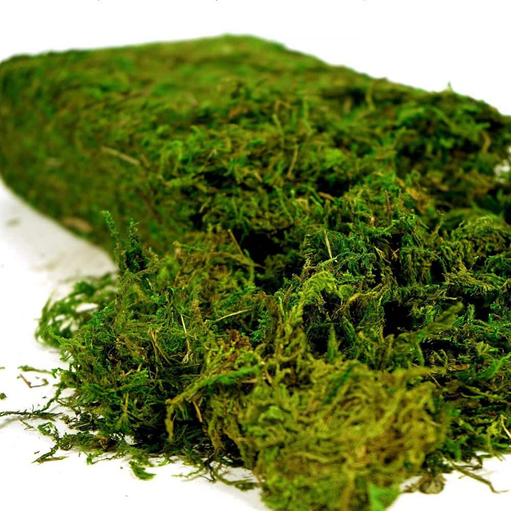 Fresh Green Artificial Plant Moss 1 Pack Artificial Moss for Crafts Fairy Garden Vase Decor Terrariums Centerpieces price history on PriceWatchPro