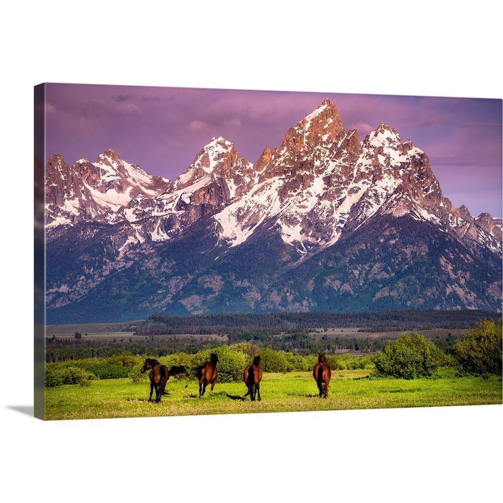 Wild Horses running, Grand Teton National Park, Wyoming by Joseph Roybal Canvas Wall Art price history on PriceWatchPro