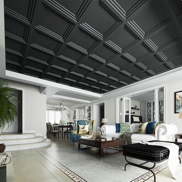 Black 2 ft. x 2 ft. Decorative Drop In Ceiling Tile, Modern Ceiling Panel for Suspended Grid (48 sq. ft. /case)