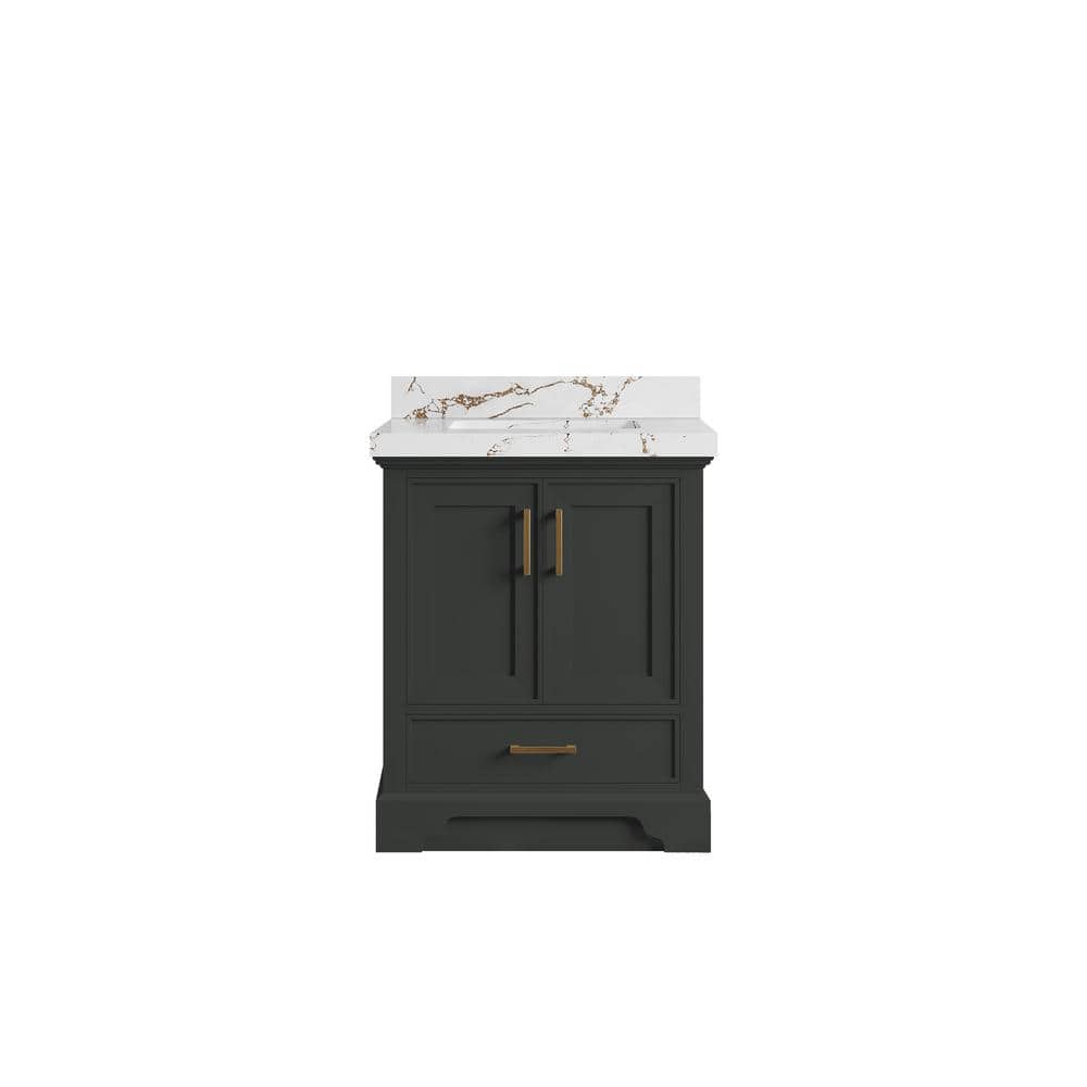 Charlotte 30 in. W x 22 in. D x 36 in. H Single Sink Bath Vanity Center in Black Top with 2 in. Viola Brown Quartz Top price history on PriceWatchPro
