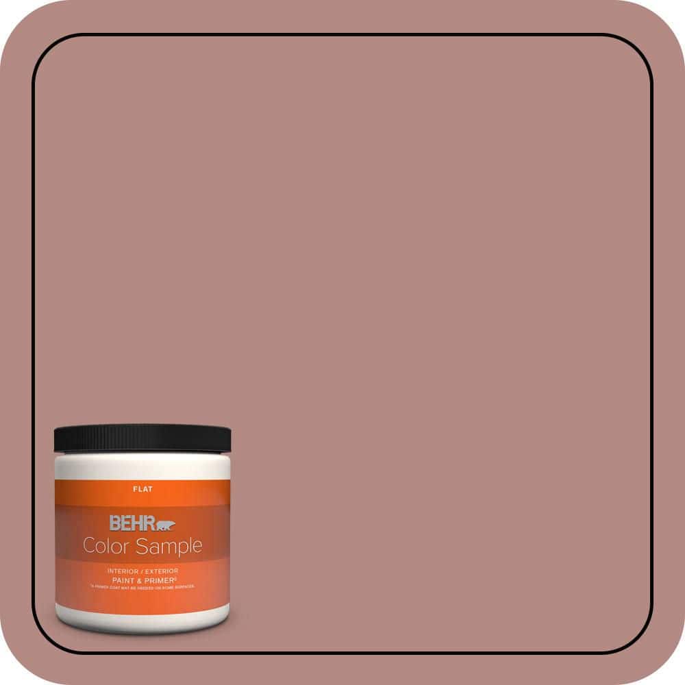8 oz. #190F-4 Warm Comfort Flat Interior/Exterior Paint & Primer Color Sample price history on PriceWatchPro