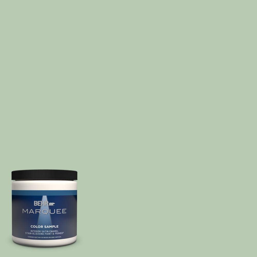 Aloe Green Color