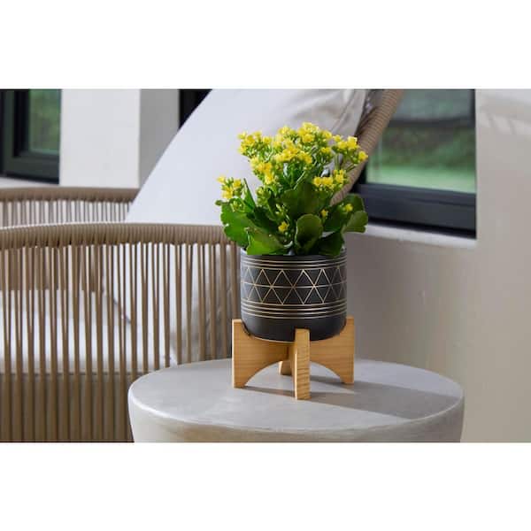 5 in. Newark Small Black/Gold Geo Ceramic Planter (5 in. D x 6 in. H) with Wood Stand