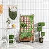 50 in. Wood Planter Box with Trellis for Climbing Plants