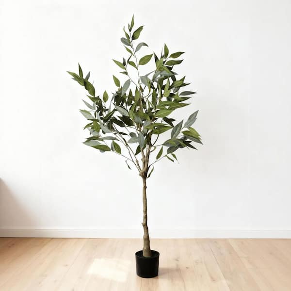 P.elephantotis 大型株 子株多数 Clihome 5 ft. Artificial Eucalyptus Tree with Black Plastic Pot