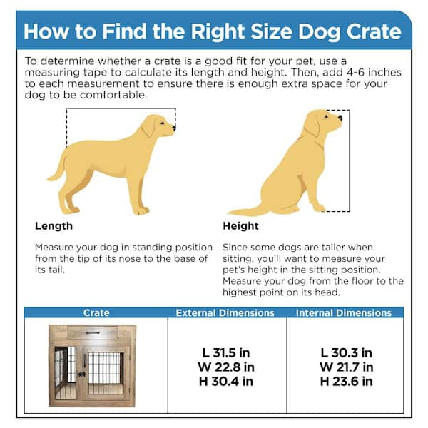 Dog crate size for 50 lb dog sale