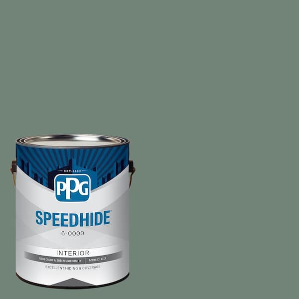 1 gal. PPG1135-6 Calabash Clash Satin Interior Paint