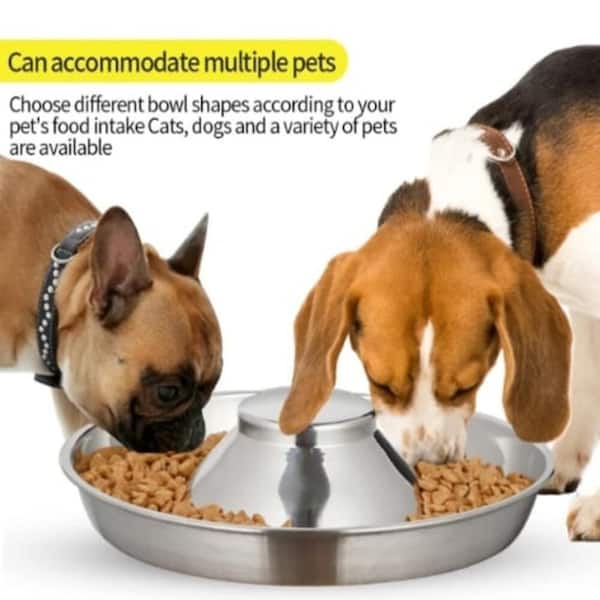Dual S Feeder - Food And Water Maze Interactive Bowl For Pets - Ideal For  Small To Medium Dogs, Puppies, Cats - Removable Stainless Steel Bowl - No