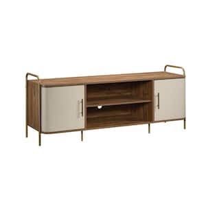 Coral Cape 60 in. Sindoori Mango Engineered Wood TV Stand Fits TVs Up to 60 in. with Storage Doors