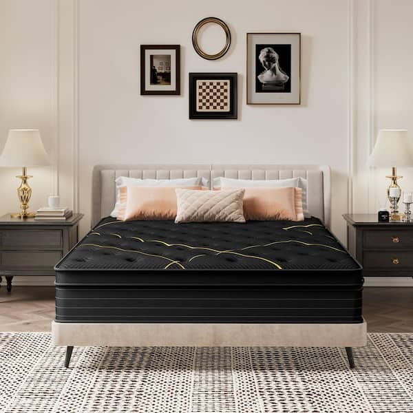 Black Queen Medium Firm Hybrid 14 in. Euro Top Support and Bed-in-a-Box Mattress
