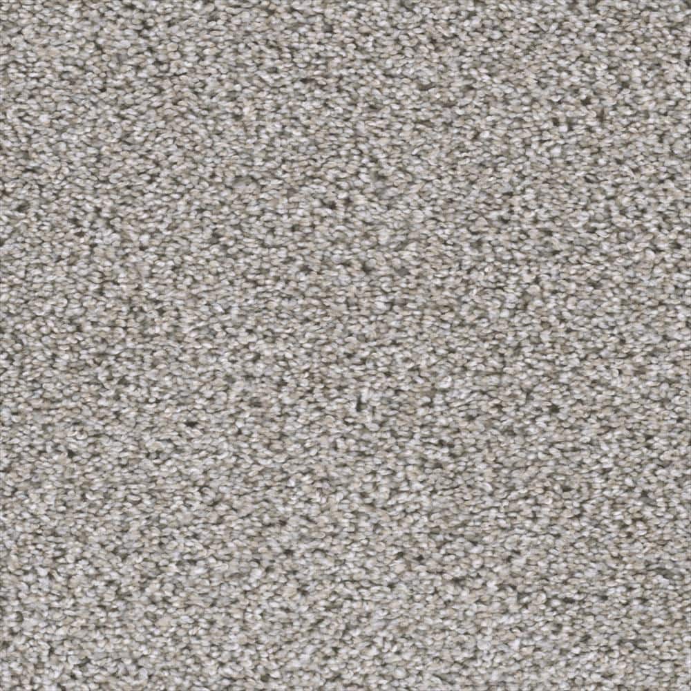 8 in. x  8 in. Texture Carpet Sample - Fall Skies II -Color Brisk Breeze price history on PriceWatchPro