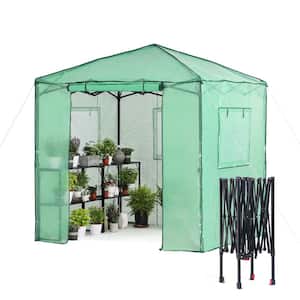 84 in. x 84 in. Pop up Greenhouse for Outdoors Portable Greenhouse with Quick Setup Frame and 2 Foldable Shelves