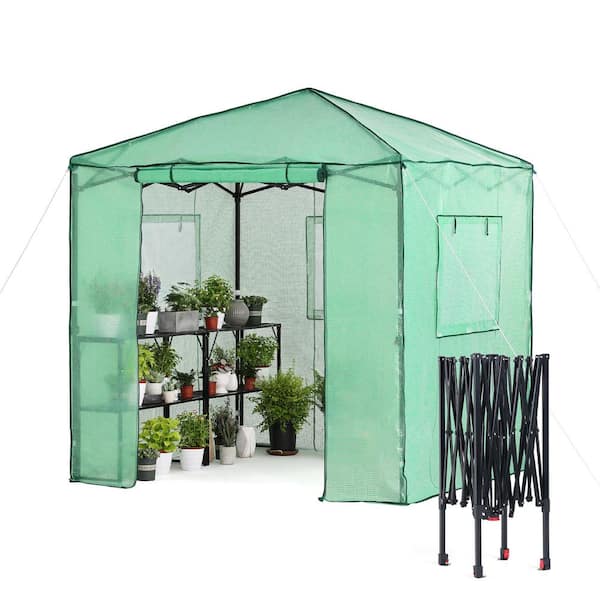 Unbranded 84 in. x 84 in. Pop up Greenhouse for Outdoors Portable Greenhouse with Quick Setup Frame and 2 Foldable Shelves
