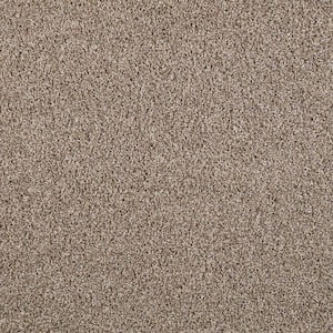Barx I  - Desert Sun - Beige 43 oz. Triexta Texture Installed Carpet
