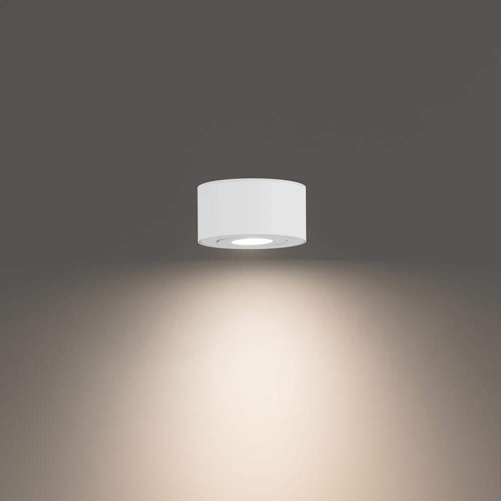 Peek Adjustable Beam LED Indoor/Outdoor Flush Mount in White
