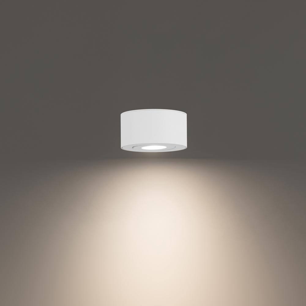 Peek Adjustable Beam LED Indoor/Outdoor Flush Mount in White